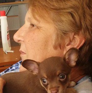 Meet your Posher, Wanda